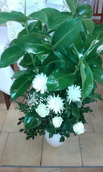 IMG-20161010-WA0056